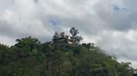 Tranquility Estate Bed And Breakfast 金斯敦 外观 照片