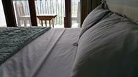 Tranquility Estate Bed And Breakfast 金斯敦 外观 照片